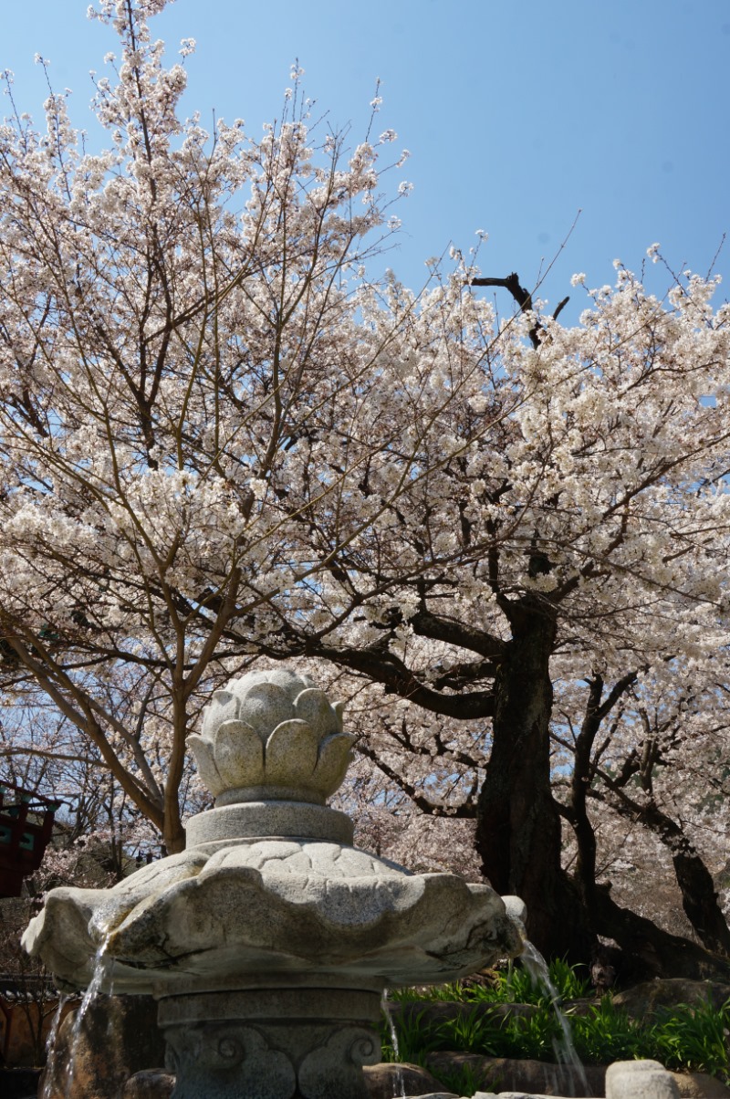 DSC08001.JPG